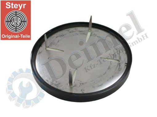 Emblem Motorhaube – Bild 2