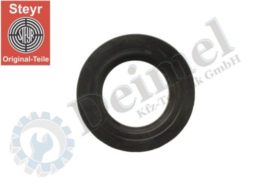 Dichtring Original Viton
