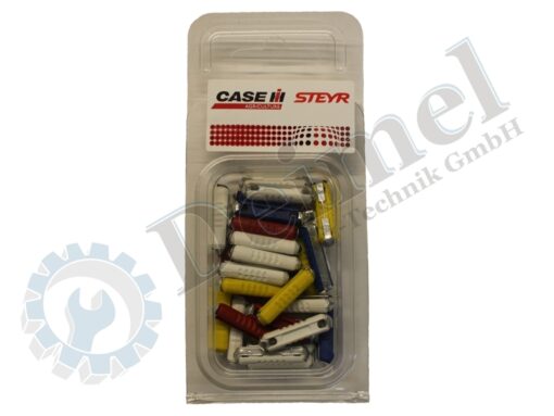 Set 30 Stk Keramiksicherungen 5 bis 25 Ampere in Blister Verpackung