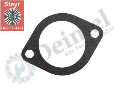 Dichtung Thermostat